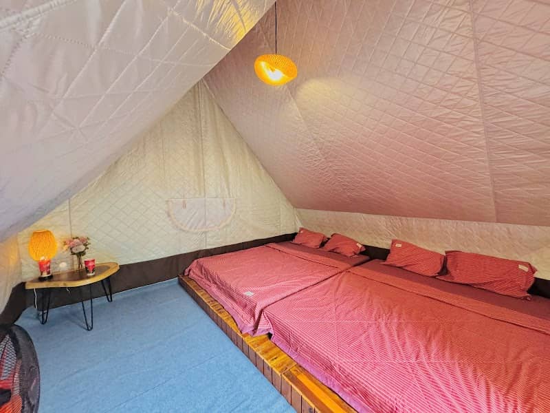 Hoạt động Vitamin Sea Camping