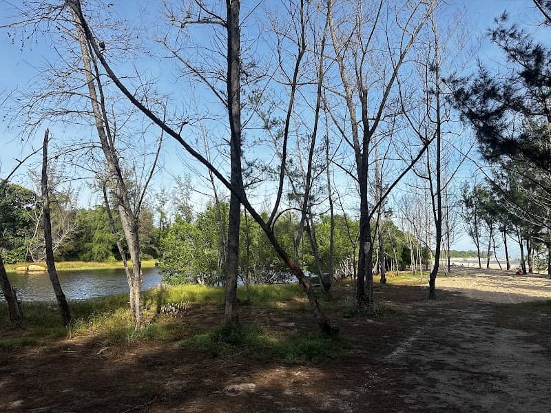 Bãi biển Nhà Gỗ Camping