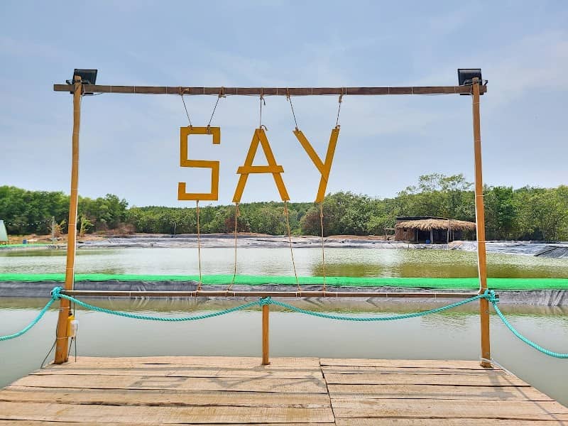 Ảnh SAY Camp Forest 2