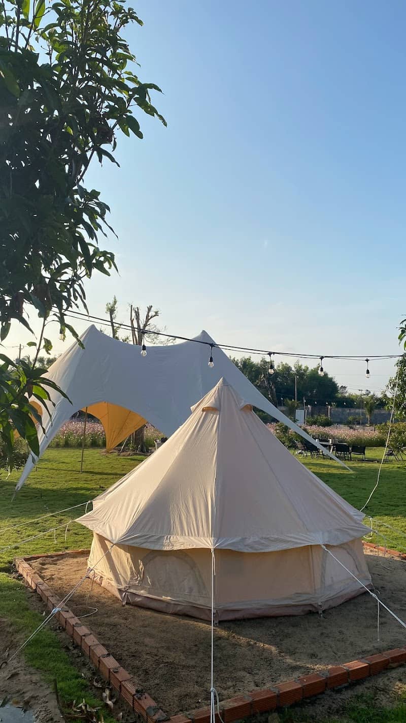 Timo Cafe & Camping đêm