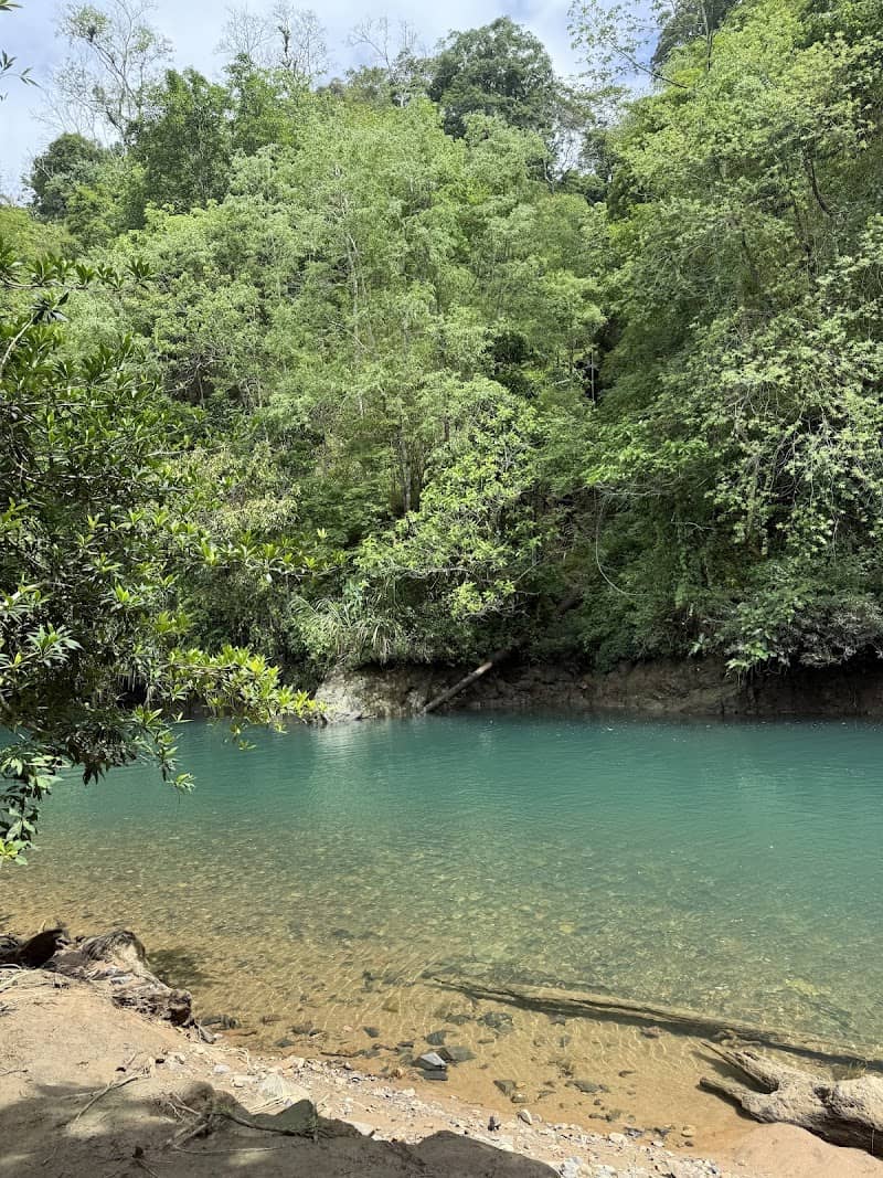 Vườn Điều Bên Suối La Ngâu - Cắm trại đêm