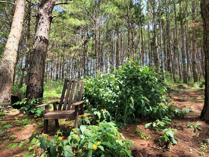 Thực đơn BBQ tại Reo Campsite