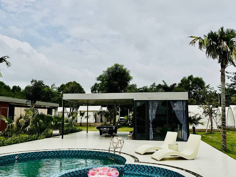 A New Day Glamping – hoạt động vui chơi