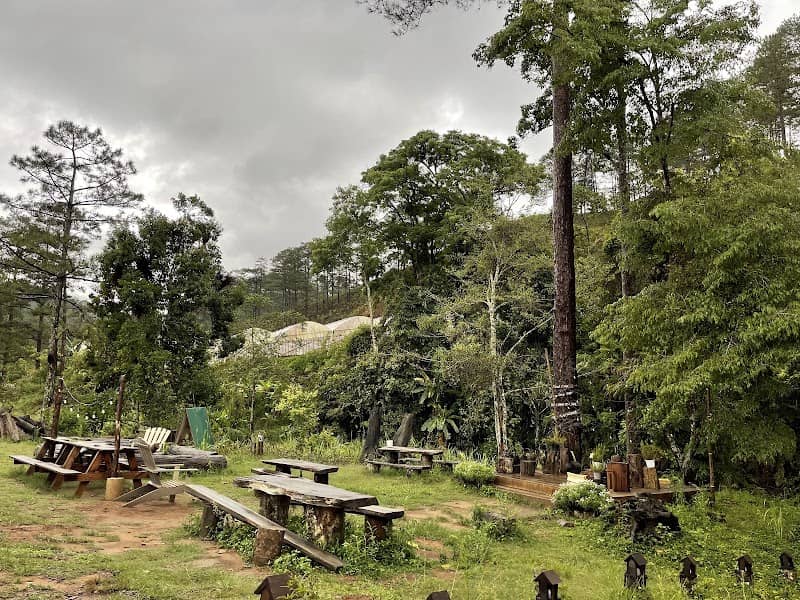 Dalat Camp điểm check-in
