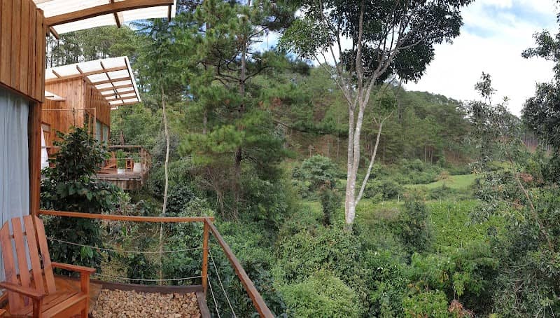 Hoạt động vui chơi tại Twin Beans Farm