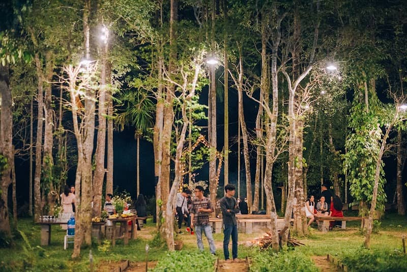 Hoạt động tại An Nhiên Farm