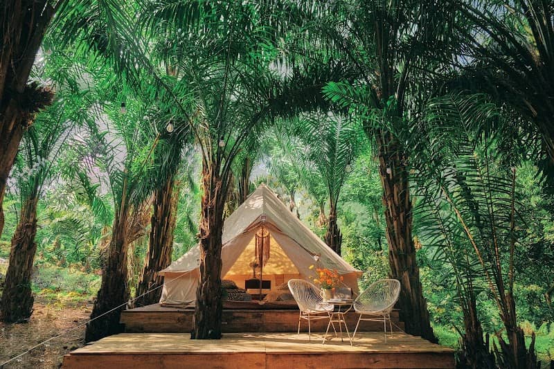 Suối tại 68 Park Hills