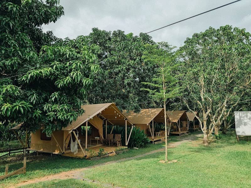 Ảnh BINIFARM 3