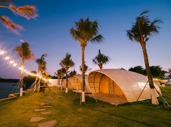Ẩm thực BBQ Glamping