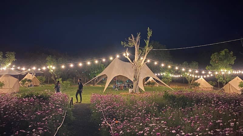 Timo Cafe & Camping buổi sáng