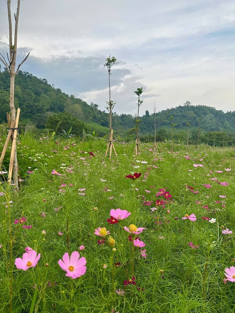 Góc chill tại La Ngâu Rockstream