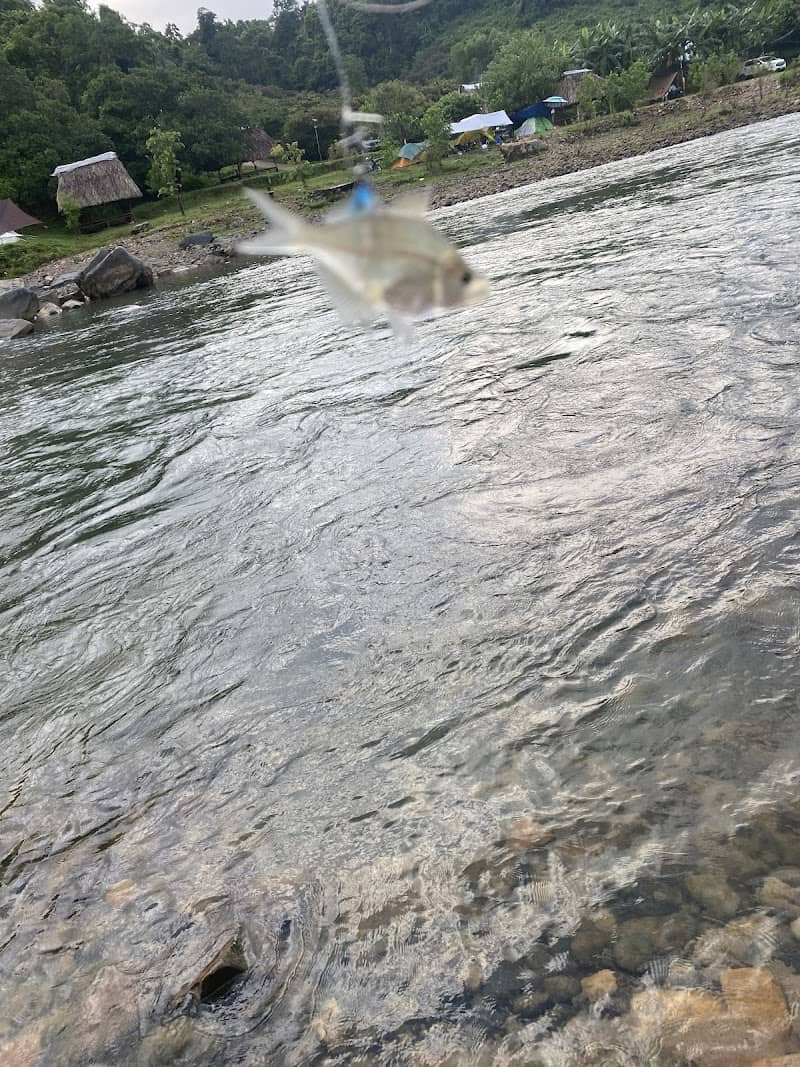 Tips du lịch Hương Lộc Camping