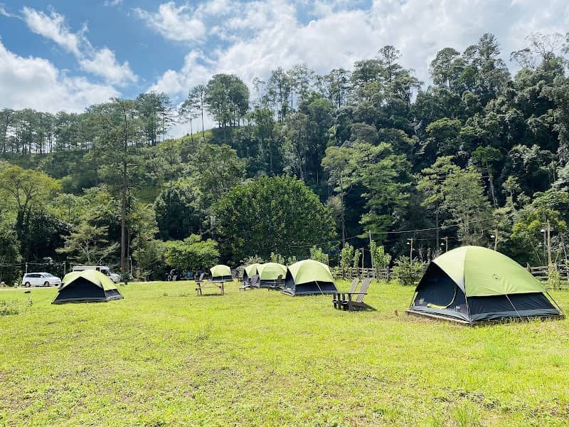 Dalat Camp hoạt động thư giãn