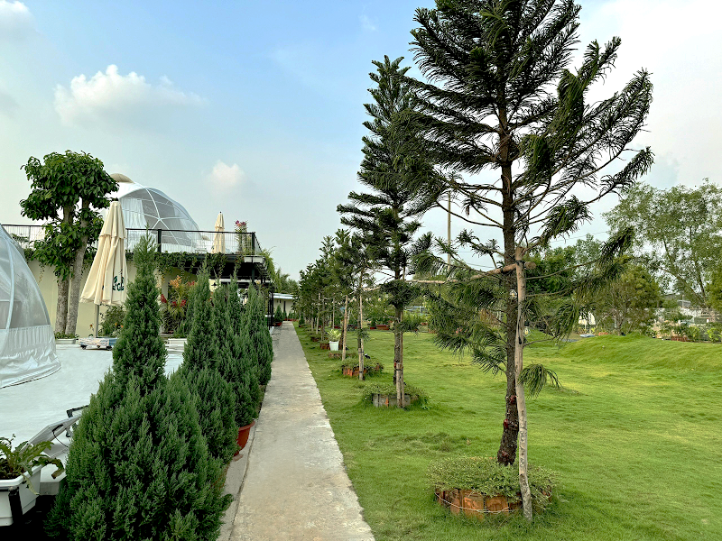 Nội thất lều Glamping