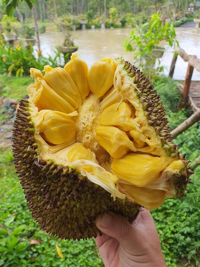 Hoạt động giải trí buổi tối tại Ngọc Huyền Farm