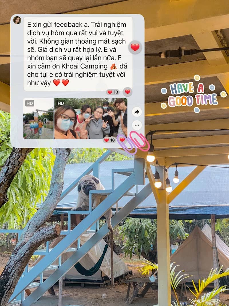 Chó Khoai tại Camping Garden