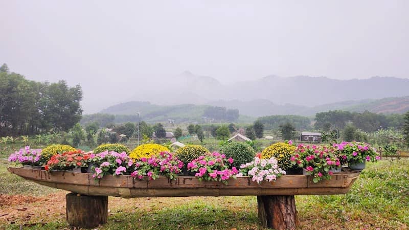 Lịch trình Bana Rita Glamping Farm