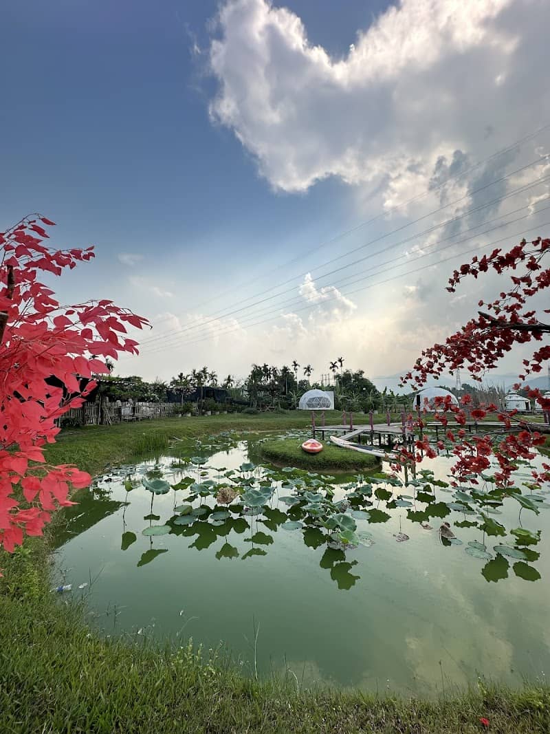 Hoạt động tại Hani Glamping Đà Nẵng