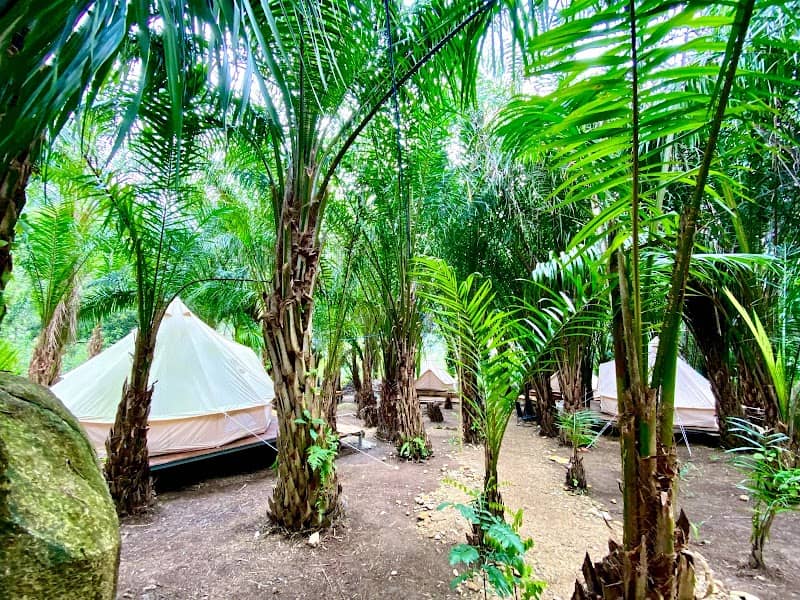 Khu vực chill 68 Park Hills