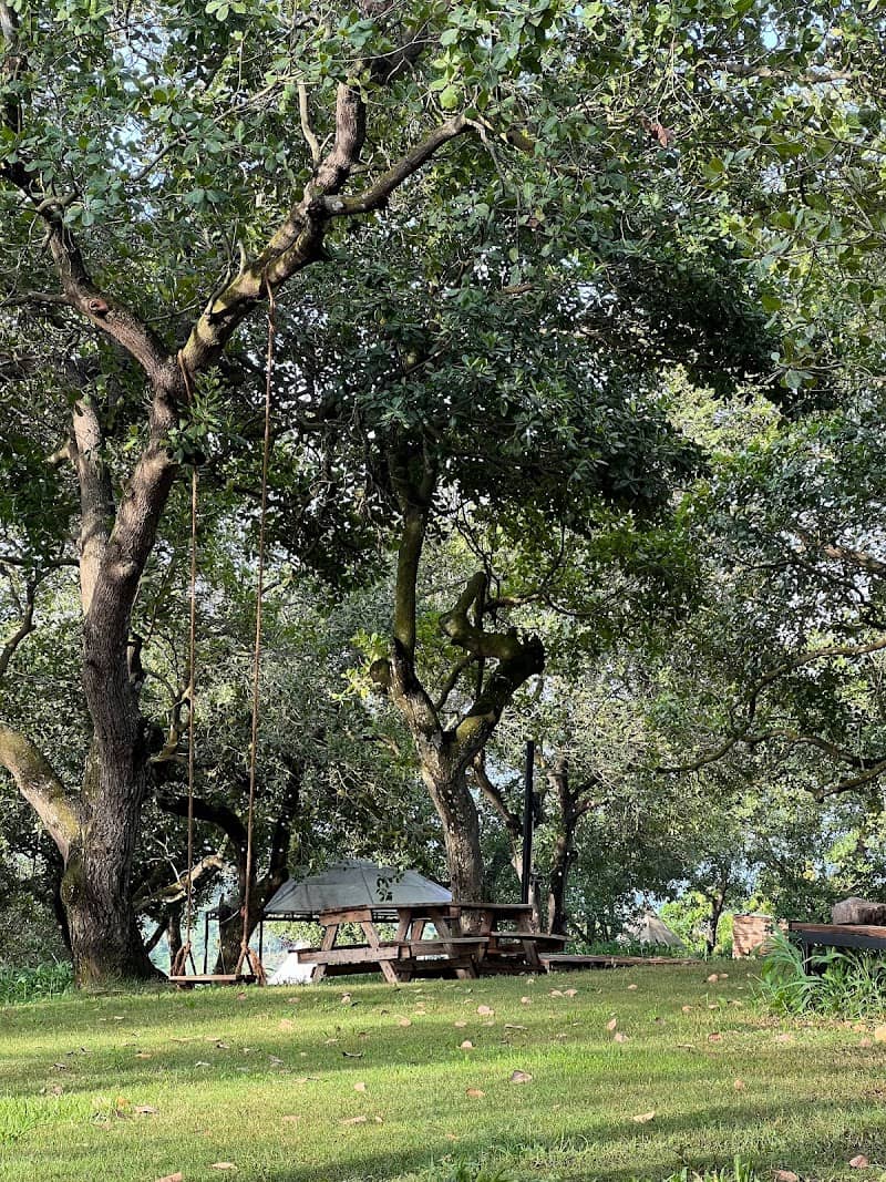Món ăn tại Tropical Eglamping