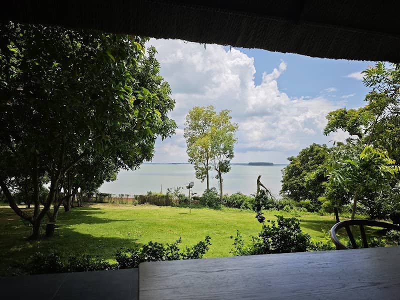 Avocado Yoga Retreat & Garden