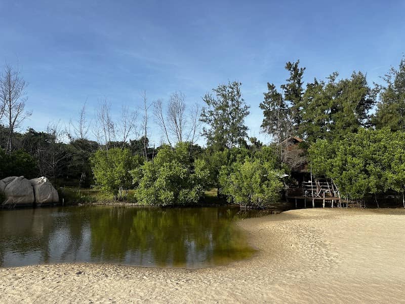 Hoạt động vui chơi tại Nhà Gỗ Camping