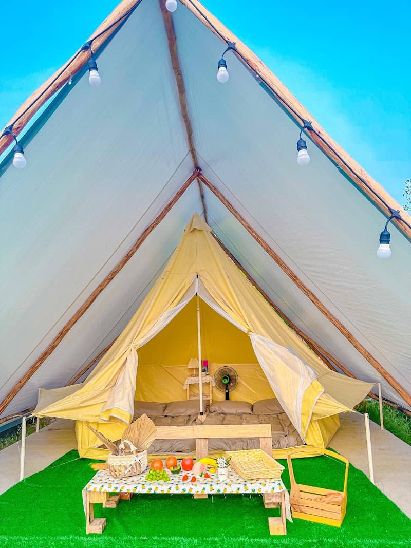Ảnh SAY Camp Forest 4