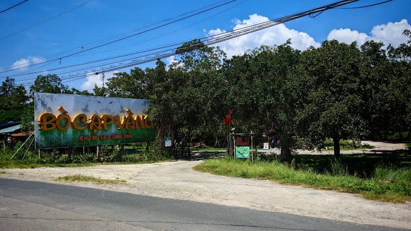 Tổng kết Bò Cạp Vàng