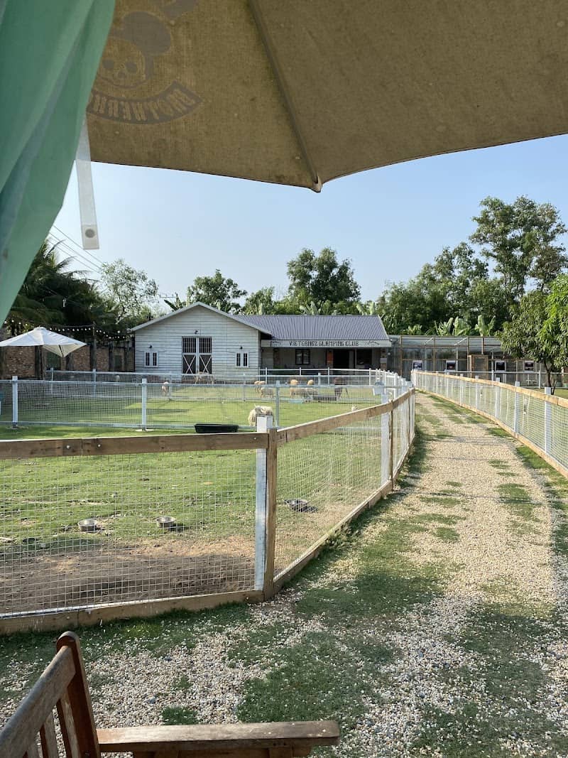 FAQ Vietgangz Glamping Club Saigon