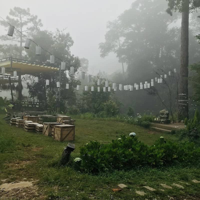 Dalat Camp tips