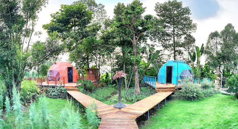 Hoạt động vui chơi giải trí tại K-Glamping