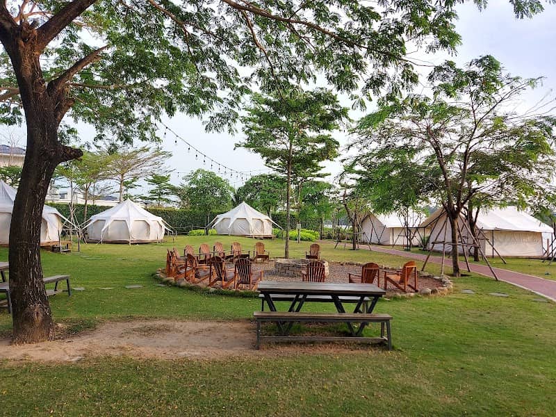 Kinh nghiệm The Hammock Glamping