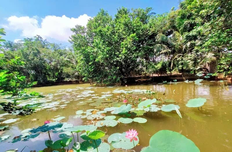 Trải nghiệm gia đình tại ToroKamp