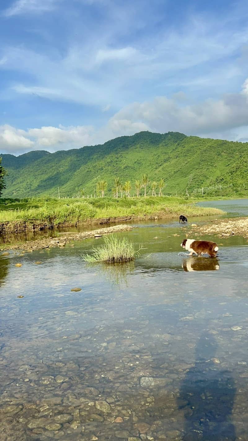 Lều trại tại Yên Retreat