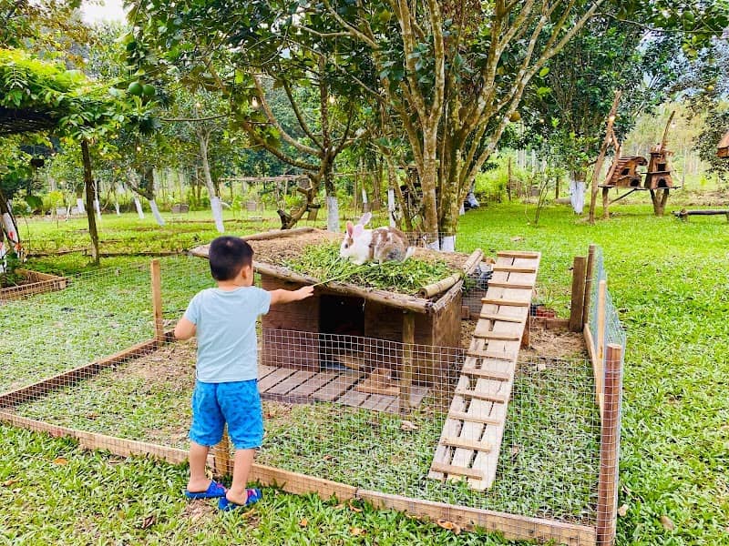 Tổng kết An Nhiên Farm