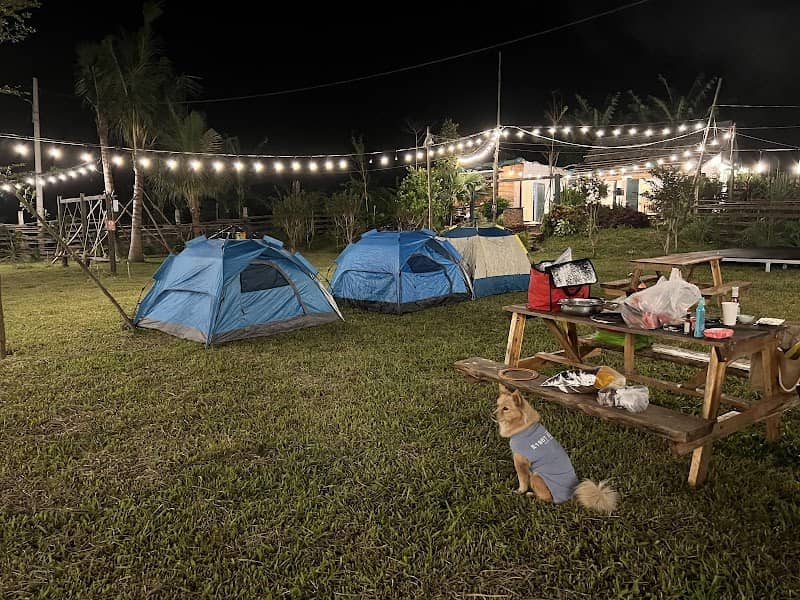 Ưu nhược điểm Hoà Bắc Ecolodge