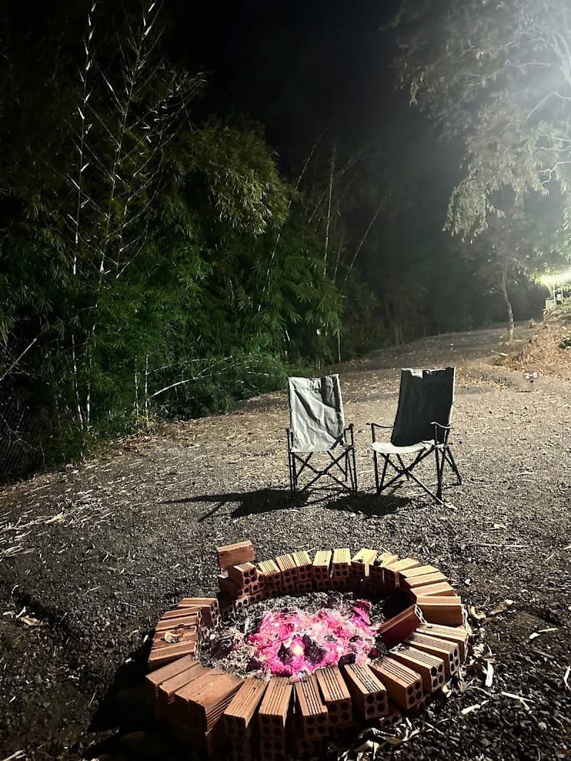 Ưu nhược điểm Woonymaica Đồng Nai