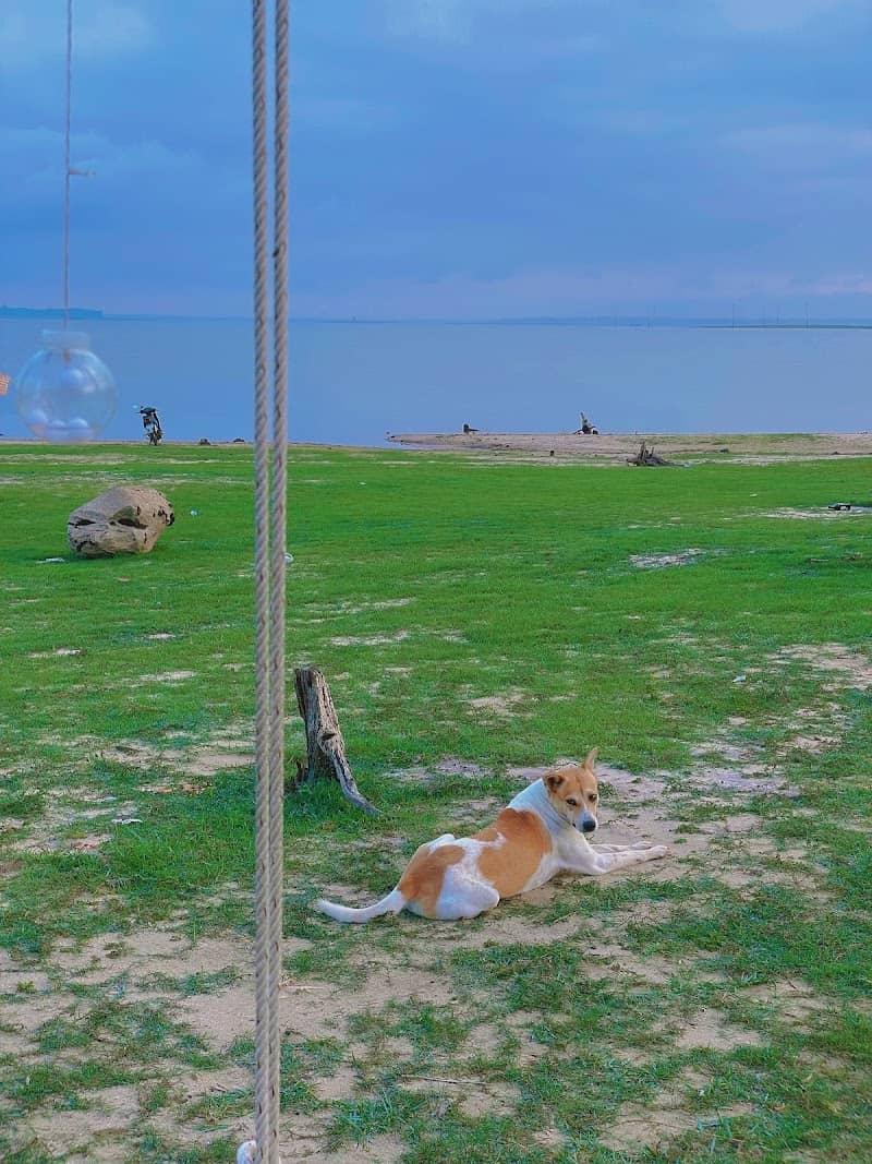 Tâm Camping Hồ Dầu Tiếng