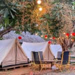 Khoai Camping Garden – Địa điểm cắm trại lý tưởng tại Cần Giờ