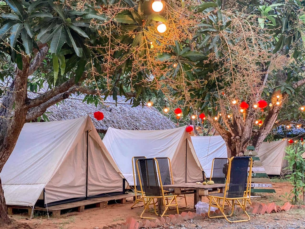 Khoai Camping Garden – Địa điểm cắm trại lý tưởng tại Cần Giờ