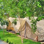 Review Ngọc Chi Linh Camp – Kinh Nghiệm Du Lịch Cần Giờ Từ A–Z 2025