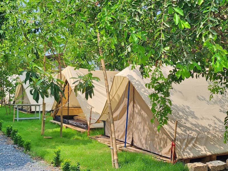 Review Ngọc Chi Linh Camp – Kinh Nghiệm Du Lịch Cần Giờ Từ A–Z 2025
